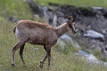 2025-06 Bigorre-7369_DxO