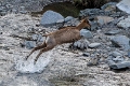 2025-06 Bigorre-7394_DxO