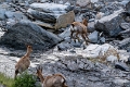 2025-06 Bigorre-7418_DxO