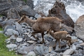 2025-06 Bigorre-7459_DxO