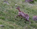 2025-06 Bigorre-7470_DxO