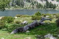 2025-06 Bigorre-5666
