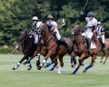 2024-08-24 Polo France - USA -4-4 (2)