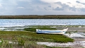 2025-03 Algarve-0337