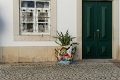 2025-03 Algarve-0168