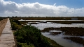 2025-03 Algarve-0283