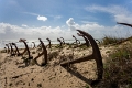 2025-03 Algarve-0298
