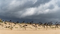 2025-03 Algarve-0353