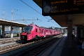 2025-04 Gênes-4781